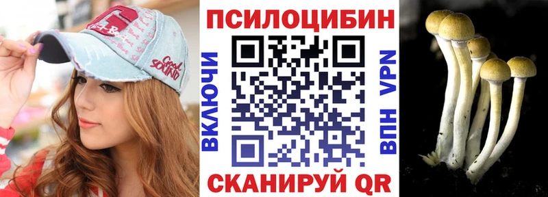 закладки  Радужный  Псилоцибиновые грибы прущие грибы 