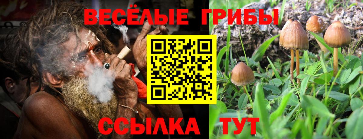 Псилоцибиновые грибы мухоморы Радужный